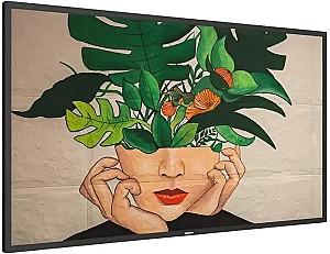 Panou informativ Philips 75BDL4650D