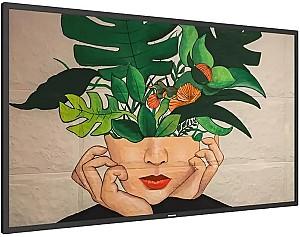 Panou informativ Philips 55BDL4650D