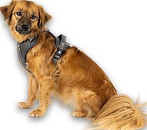 Ham pentru caini Max & Molly Matrix 2.0 Stone L