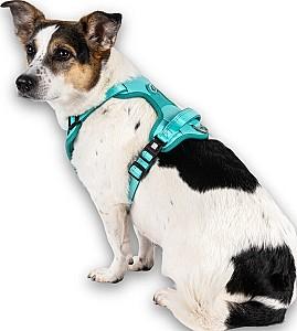 Ham pentru caini Max & Molly Matrix 2.0 Turquoise М