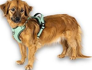 Ham pentru caini Max & Molly Matrix 2.0 Jade S