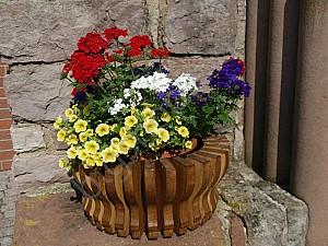  Comenfort (50x20 cm)