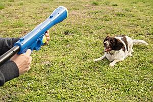 Jucarie pentru caine Beeztees F00041