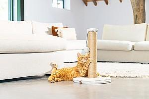 Ansamblu pentru pisici Beeztees RIBBED LGrey