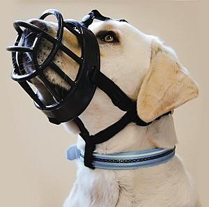 Botnita Beeztees TPR Black size 6(765405)