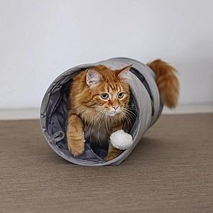 Pat pentru pisica Beeztees CYLLA Grey