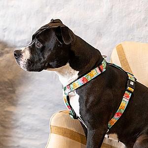 Ham pentru caini Max & Molly Exotique L