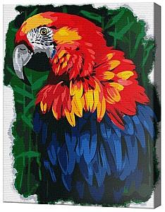 Tablou pe numere Ideyka Unicul, 30х40 cm