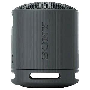 Boxa portabila Sony XB100 Black (SRSXB100B.CE7)