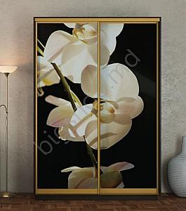 Dulap-cupe Confort-NV 2D 1254 (150x60x220)