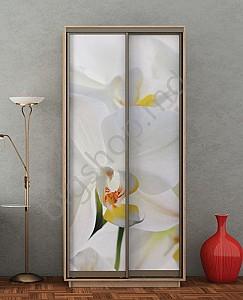 Dulap-cupe Confort-NV 2D 1254 (150x60x220)