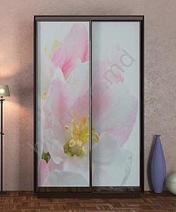 Dulap-cupe Confort-NV 2D 1254 (150x60x220)