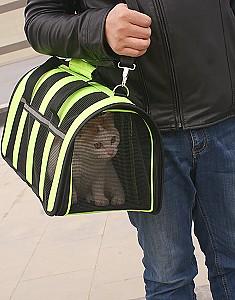 Transportator de pisici Import 43175