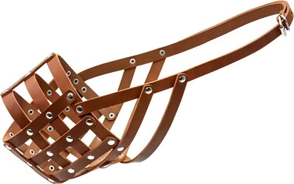 Botnita Import 43425