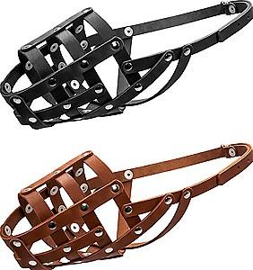 Botnita Import 43425