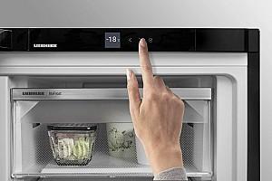 Congelator Liebherr FNf 5207