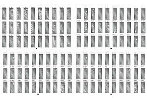 Dulap-cupe Confort-NV 100x45x220 (sablare)