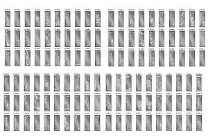 Dulap-cupe Confort-NV 100x45x220 (sablare)