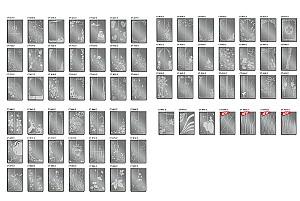 Dulap-cupe Confort-NV 100x45x220 (sablare)