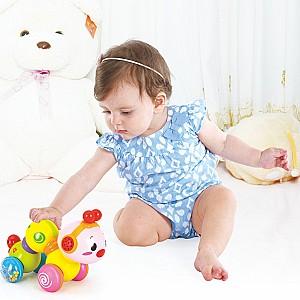 Jucarie muzicala Hola Toys Omida vesela (997)