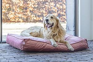 Pat pentru caine Beeztees NALINO DOG Pink