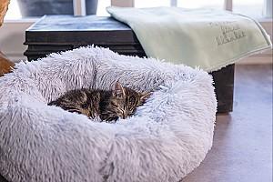 Pat pentru pisica Beeztees VAKO Grey