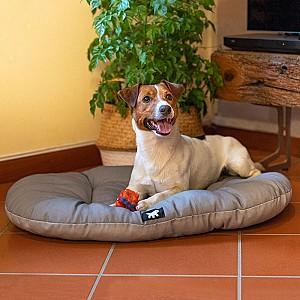 Pat pentru caine Ferplast RELAX 65/6 SANITIZED Grey