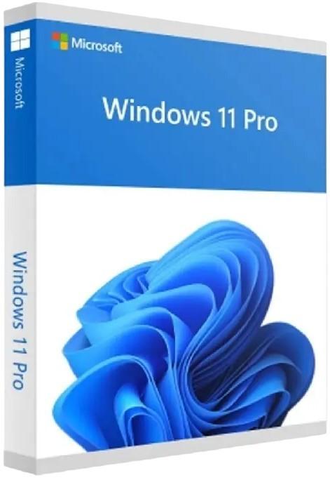 Sistem de operare Microsoft Windows Pro 11 64Bit (HAV-00199)