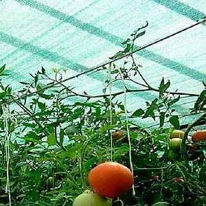 Plasa de umbrire Ekspand 90 1.5x50m