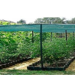 Plasa de umbrire Ekspand 90 1.2x50 m