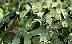 Plasa camuflata Greentech Camo  Green 21044 (4x4)