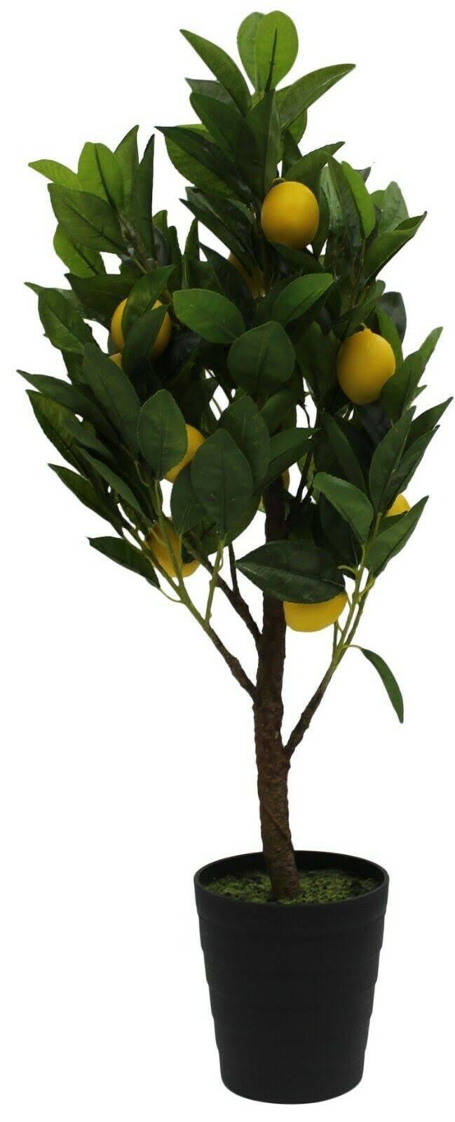 Flori artificiale NVT Pom de lamaie 70cm