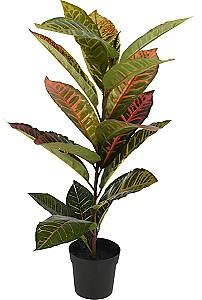 Flori artificiale NVT Calatea