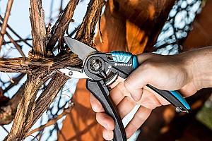 Foarfece de vie Cellfast ERGO 41-021 (42875)