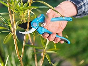 Foarfece de vie Cellfast IDEAL 40-414 (42866)