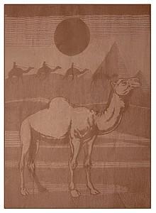 Plapuma Yaroslav lână de cămilă 200x205