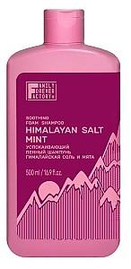 Sampon pentru par Family Forever Factory Himalayan Salt Mint