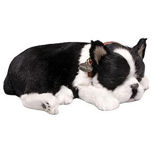 Jucarie de plus Perfect Petzzz Terrier Boston 91-35