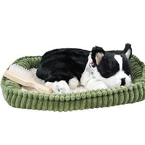 Jucarie de plus Perfect Petzzz Terrier Boston 91-35
