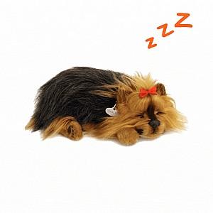 Jucarie de plus Perfect Petzzz Yorkie 91-26