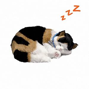 Jucarie de plus Perfect Petzzz Pisicuța calico 92-16