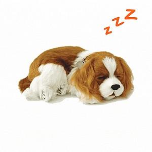 Jucarie de plus Perfect Petzzz Cavalier King Charles 91-20