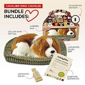 Jucarie de plus Perfect Petzzz Cavalier King Charles 91-20