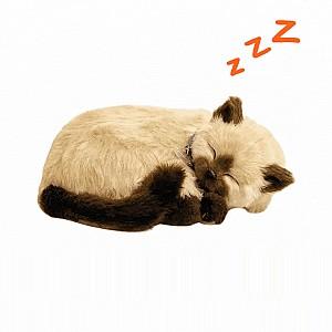 Jucarie de plus Perfect Petzzz Pisicuța siameză 92-15