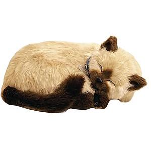 Jucarie de plus Perfect Petzzz Pisicuța siameză 92-15