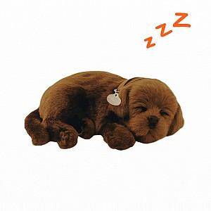 Jucarie de plus Perfect Petzzz Labrador Ciocolatiu 91-13