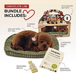 Jucarie de plus Perfect Petzzz Labrador Ciocolatiu 91-13