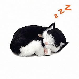 Jucarie de plus Perfect Petzzz Pisicuța neagră-albă 92-06