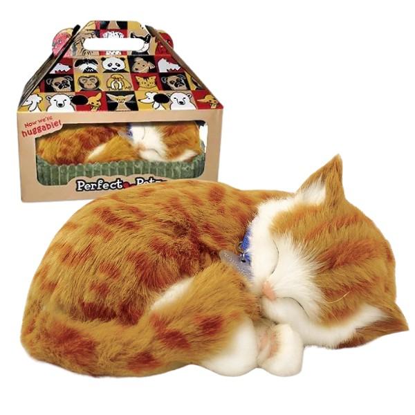 Jucarie de plus Perfect Petzzz Pisicuța tabby 92-05