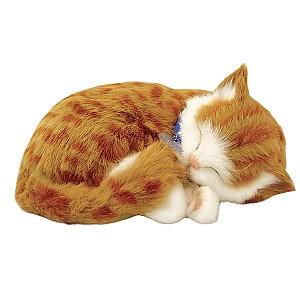 Jucarie de plus Perfect Petzzz Pisicuța tabby 92-05